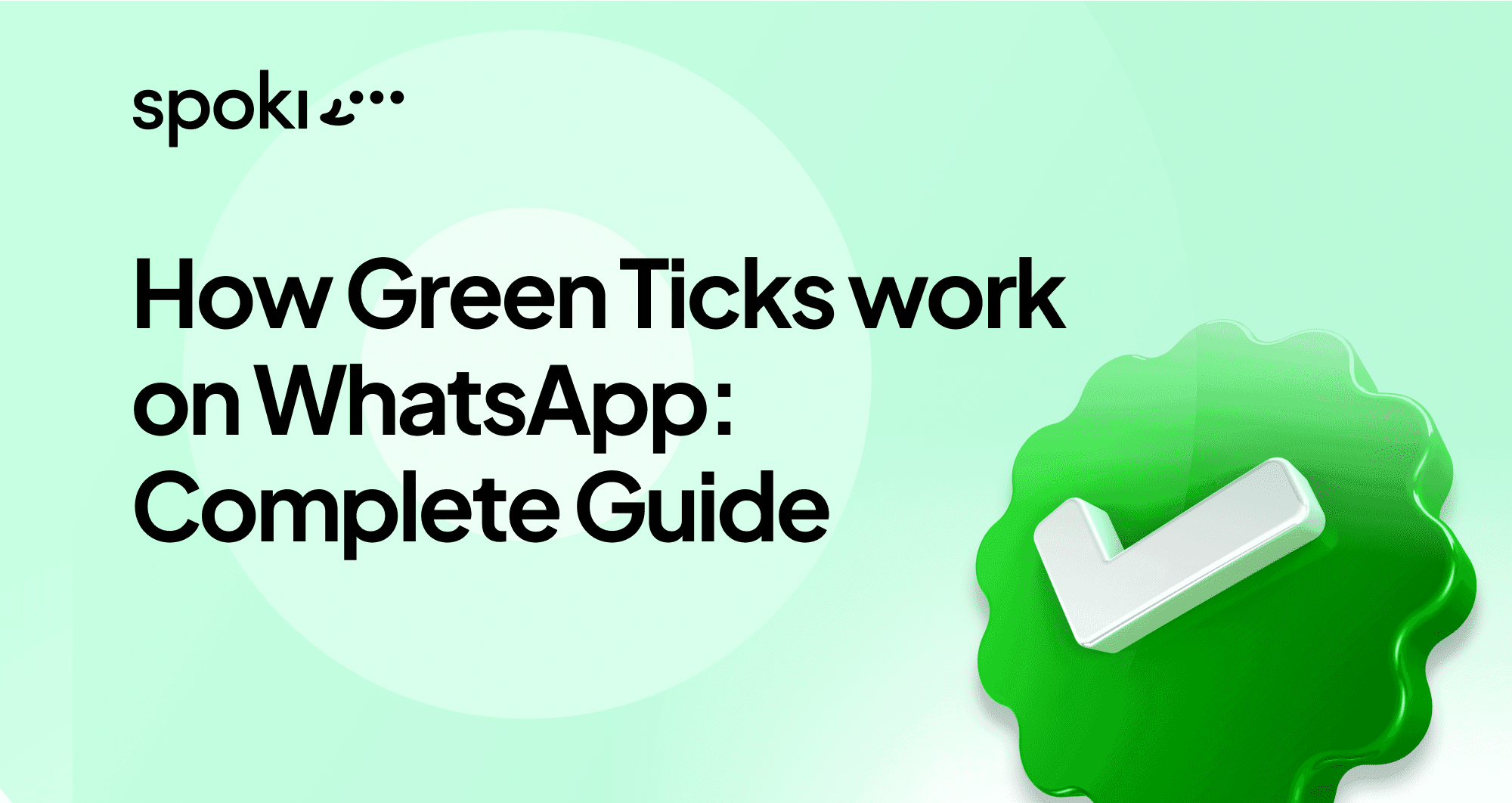Come funzionano le Spunte Verdi su WhatsApp: La Guida Completa