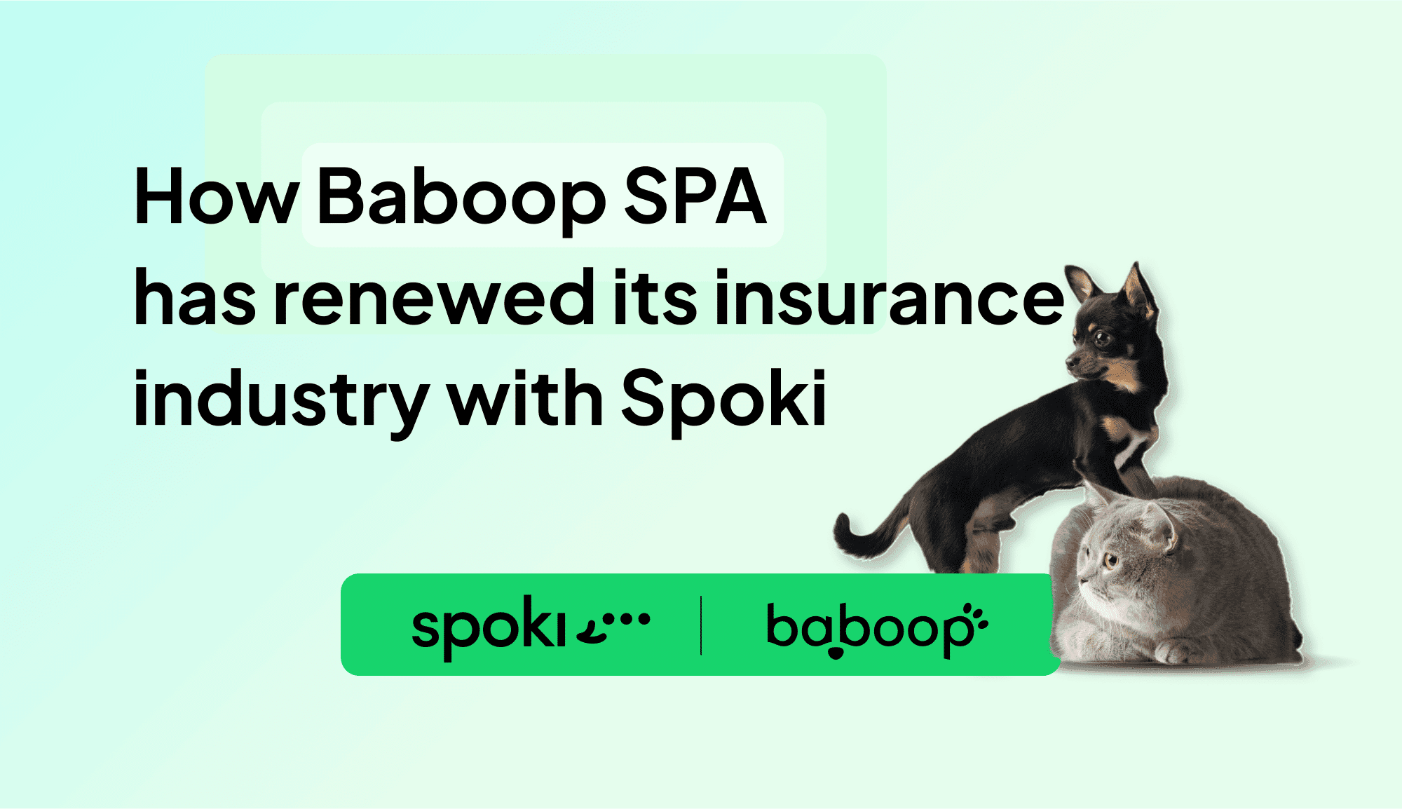 Fallstudie | Von Kontakten zu Verträgen: Wie Baboop SPA den Versicherungssektor mit Spoki und WhatsApp erneuert und einen Umsatz von +18% erzielt hat