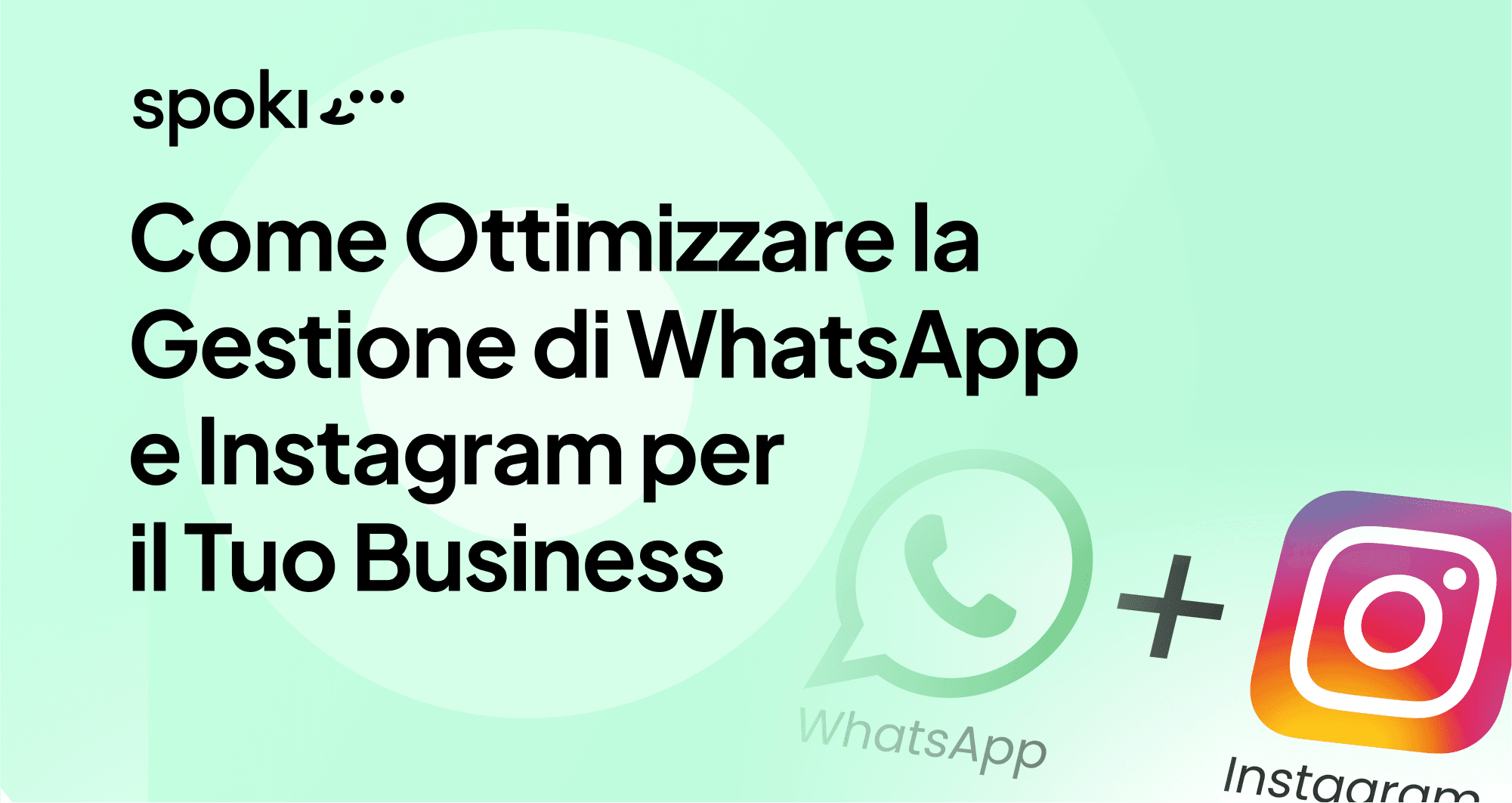 Come Ottimizzare la Gestione di WhatsApp e Instagram per il Tuo Business