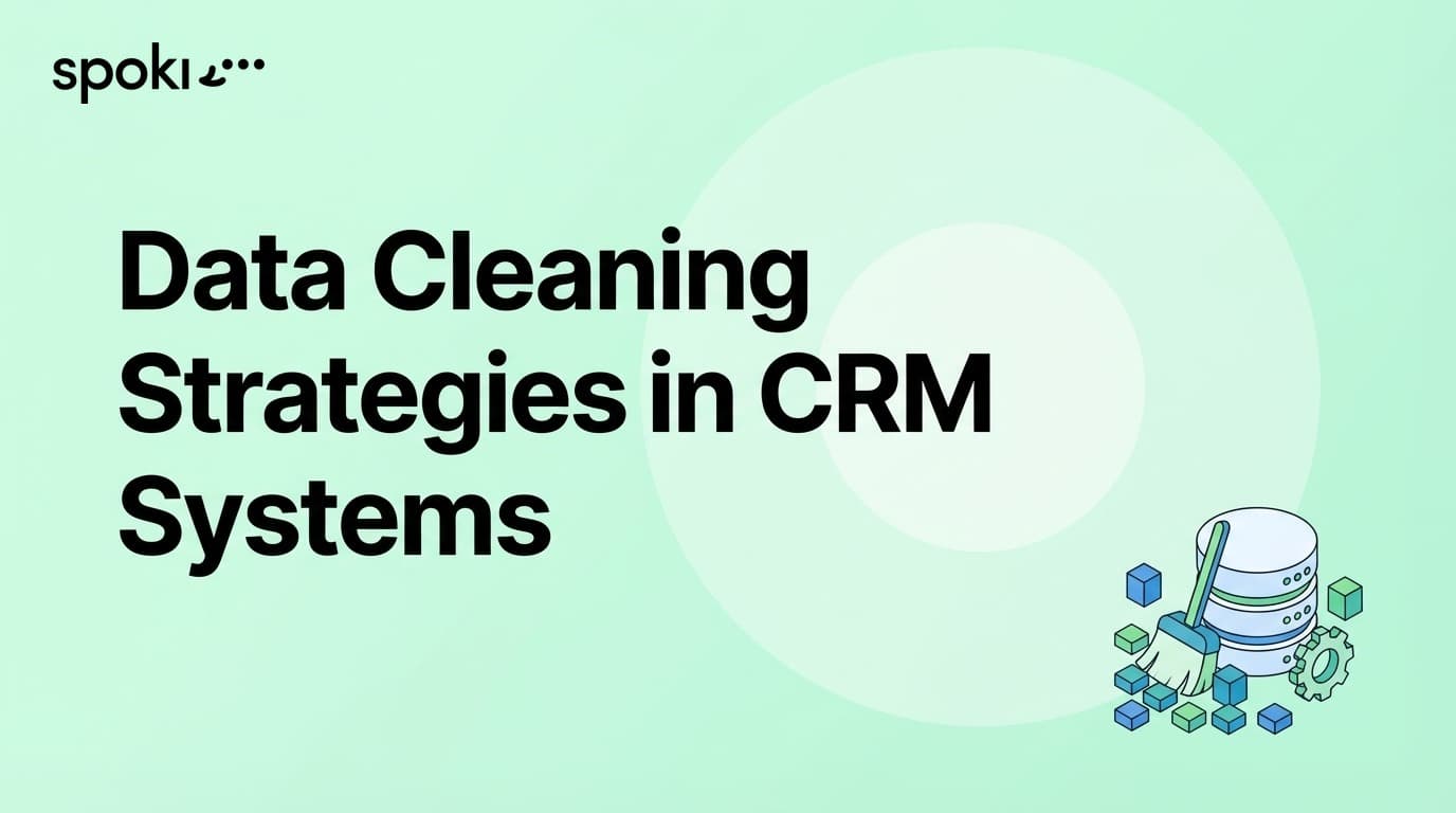 Data Cleaning Strategies in CRM Systems
