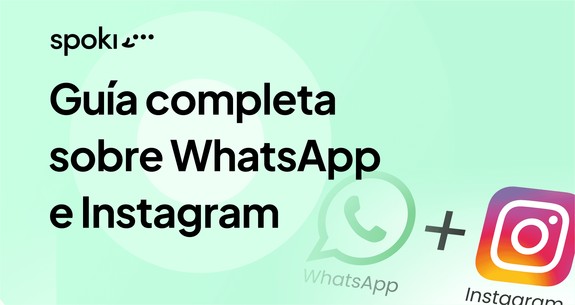 Guía completa sobre WhatsApp e Instagram: cómo usar las funciones esenciales para tu negocio