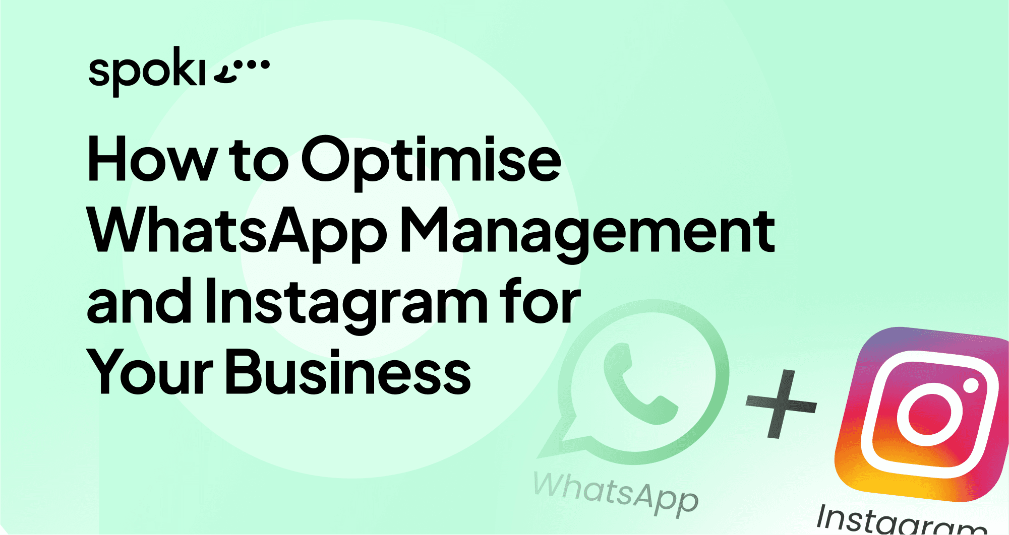 How to Optimize WhatsApp and Instagram Management for Your Business